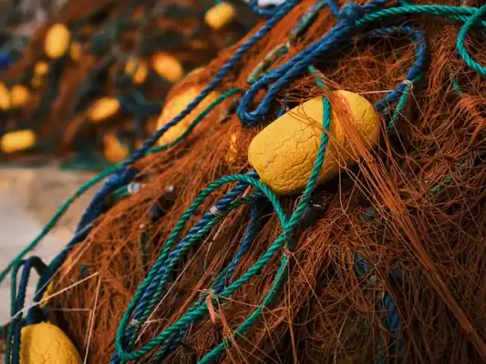 Basseterre Fisheries Complex logo