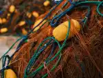 Basseterre Fisheries Complex