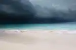Tropical Car Rental