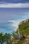 Oualie Realty