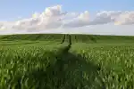 St Kitts Land Registry Department
