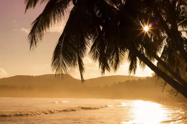 St Kitts and Nevis Island Homes - Real Estate Services