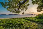 Nature’s Best