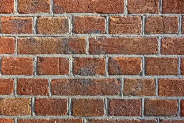 Advance Building Maintenance Systems