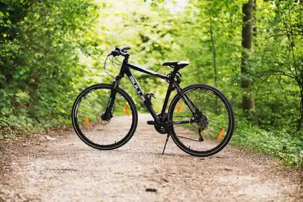 Trek Mountain Bike - 21 Speed